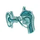 ENT (Ear, Nose & Throat)