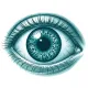 Ophthalmology