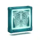 Radiology